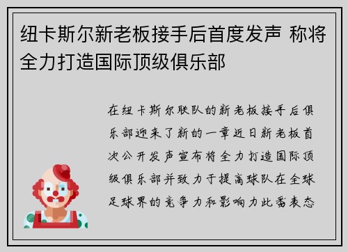 纽卡斯尔新老板接手后首度发声 称将全力打造国际顶级俱乐部